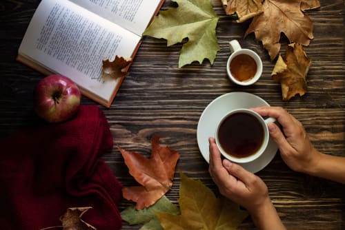 Your Alternative Thanksgiving