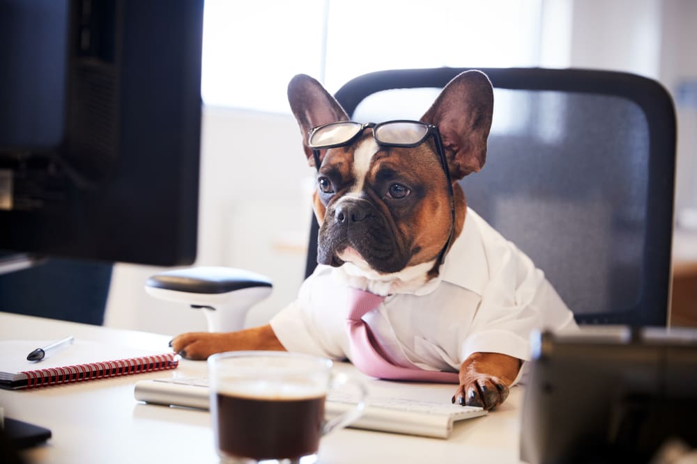 “Work Like a Dog” Day at TRC